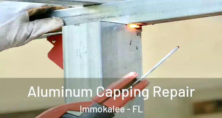  Aluminum Capping Repair Immokalee - FL