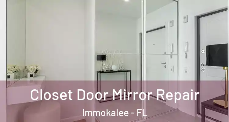  Closet Door Mirror Repair Immokalee - FL