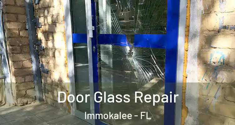  Door Glass Repair Immokalee - FL