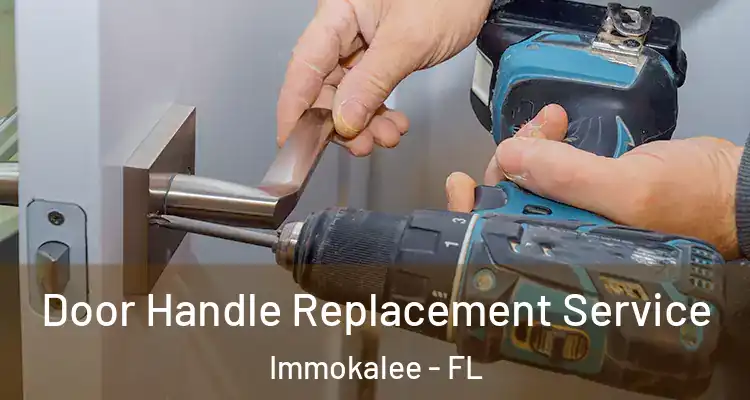  Door Handle Replacement Service Immokalee - FL