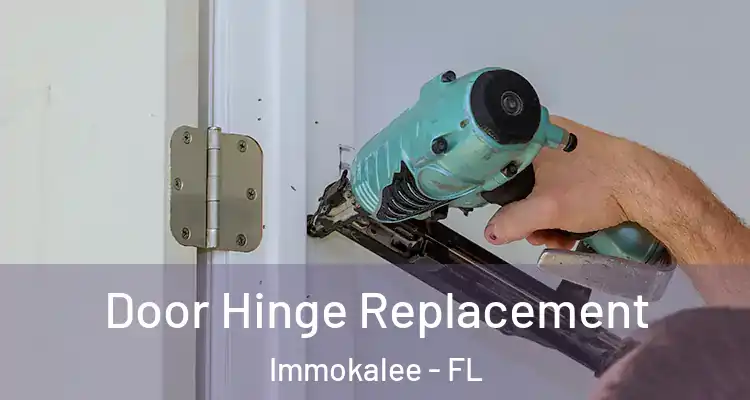  Door Hinge Replacement Immokalee - FL