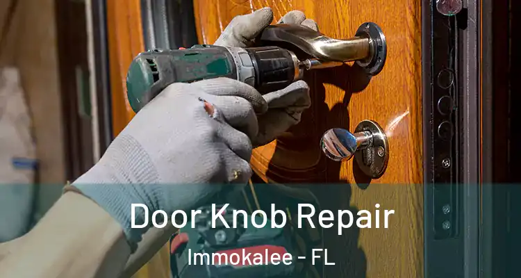  Door Knob Repair Immokalee - FL