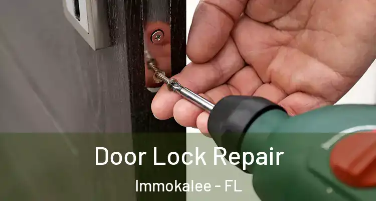  Door Lock Repair Immokalee - FL