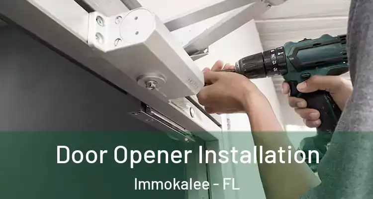  Door Opener Installation Immokalee - FL