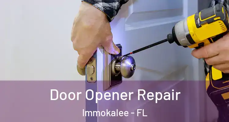  Door Opener Repair Immokalee - FL