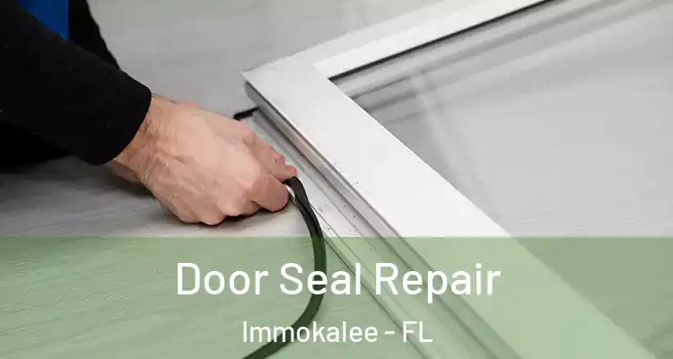  Door Seal Repair Immokalee - FL