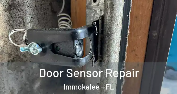  Door Sensor Repair Immokalee - FL