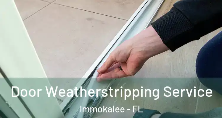  Door Weatherstripping Service Immokalee - FL
