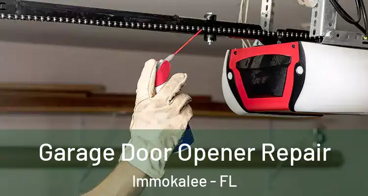 Garage Door Opener Repair Immokalee - FL