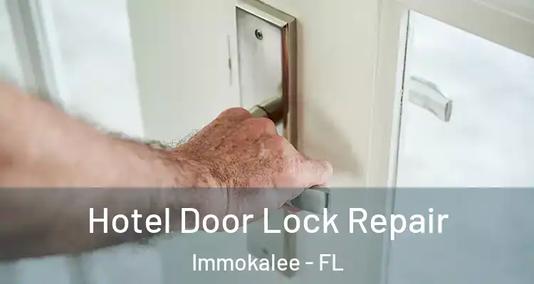  Hotel Door Lock Repair Immokalee - FL