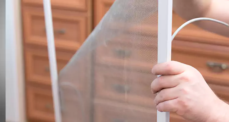 Privacy Mesh Screen Door Installation in Immokalee, FL