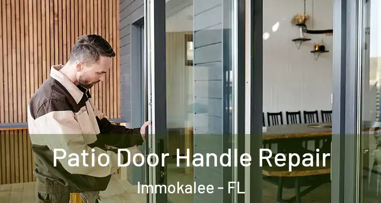  Patio Door Handle Repair Immokalee - FL