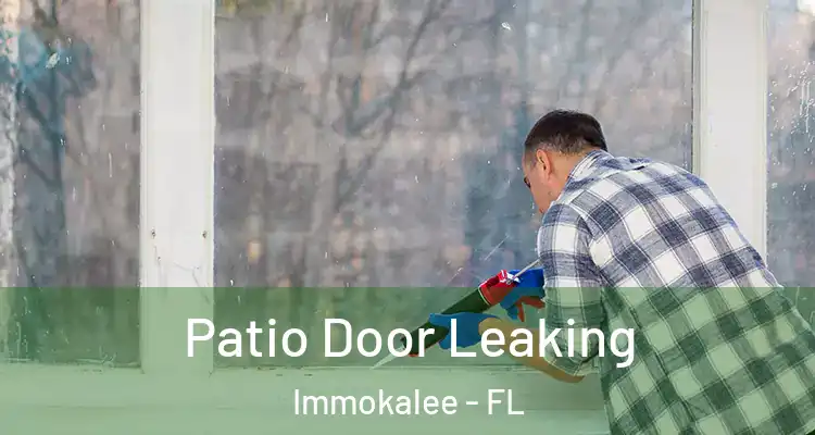  Patio Door Leaking Immokalee - FL