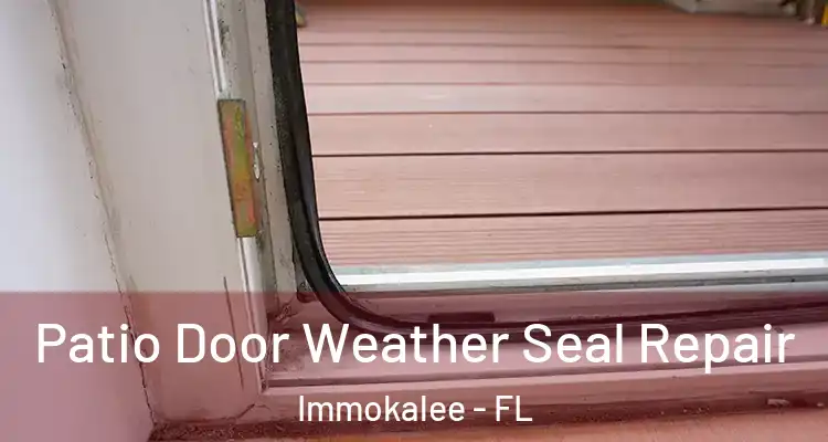  Patio Door Weather Seal Repair Immokalee - FL