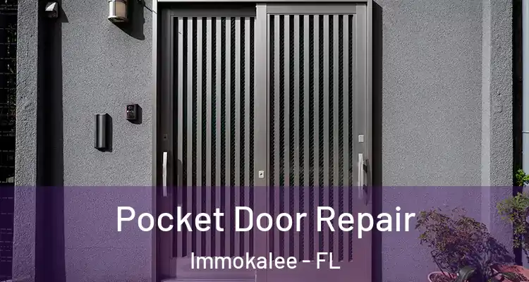  Pocket Door Repair Immokalee - FL