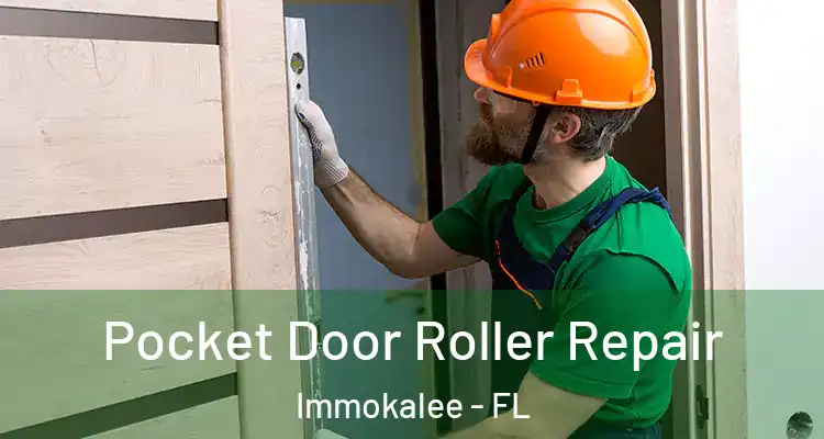  Pocket Door Roller Repair Immokalee - FL