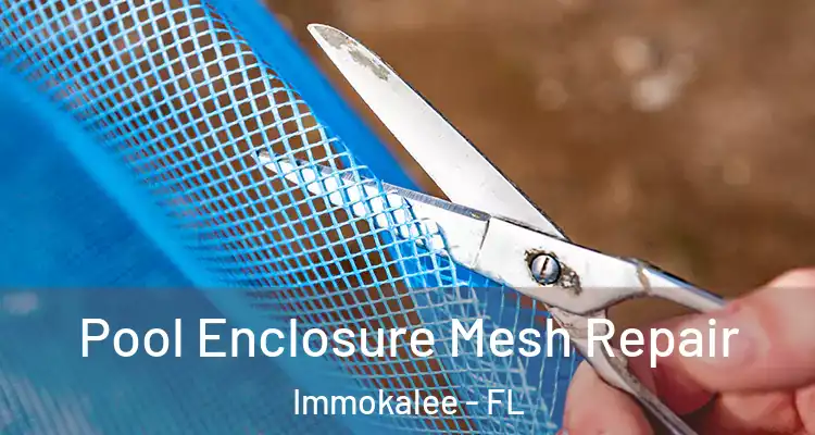  Pool Enclosure Mesh Repair Immokalee - FL