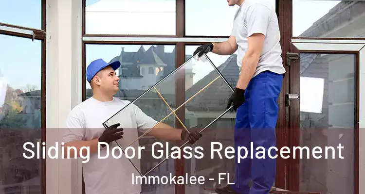  Sliding Door Glass Replacement Immokalee - FL