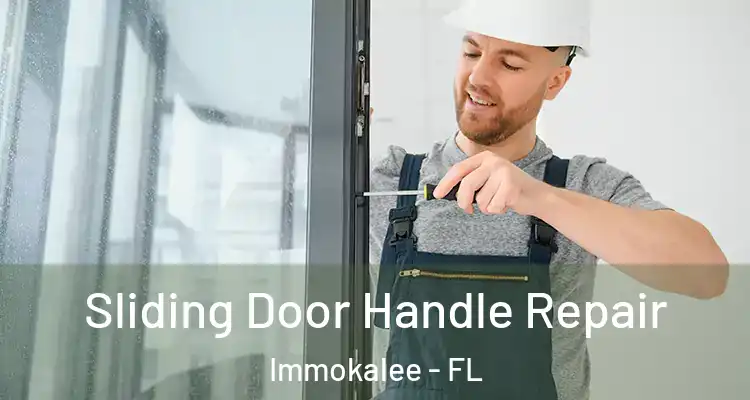  Sliding Door Handle Repair Immokalee - FL