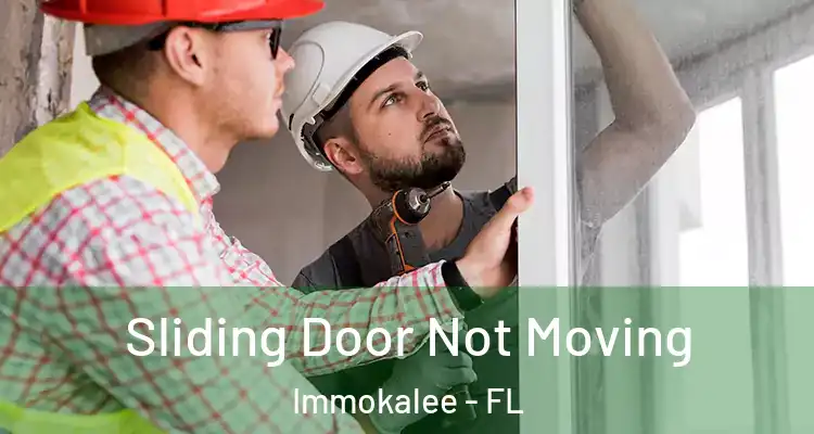  Sliding Door Not Moving Immokalee - FL