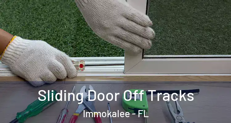  Sliding Door Off Tracks Immokalee - FL