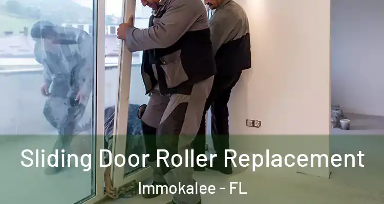  Sliding Door Roller Replacement Immokalee - FL