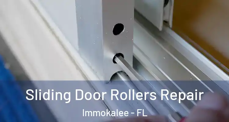  Sliding Door Rollers Repair Immokalee - FL