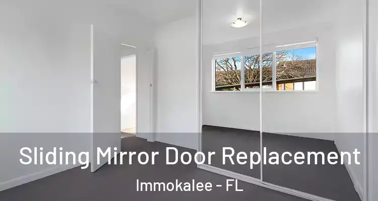  Sliding Mirror Door Replacement Immokalee - FL