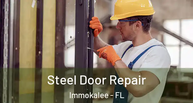  Steel Door Repair Immokalee - FL
