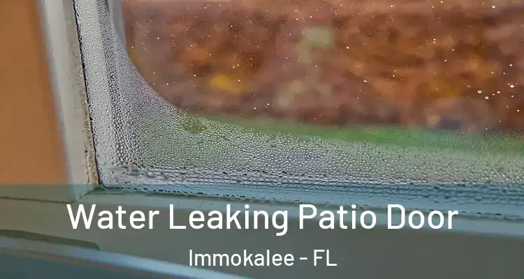  Water Leaking Patio Door Immokalee - FL