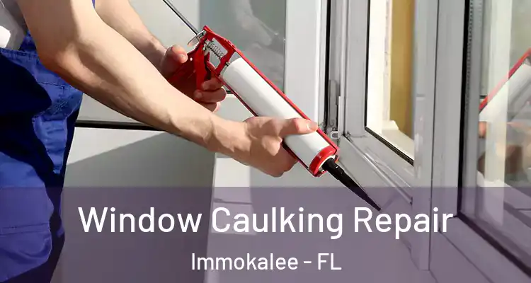 Window Caulking Repair Immokalee - FL