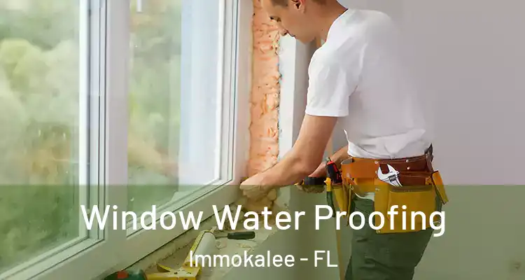  Window Water Proofing Immokalee - FL